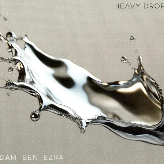Cover of Heavy Drops