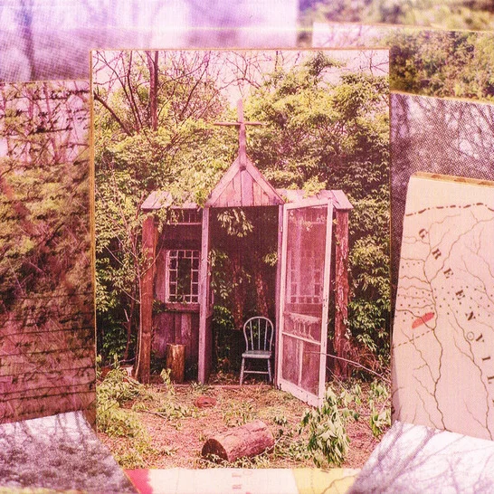 Cover of Carolina Confessions