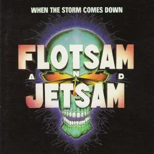 Cover of When The Storm Comes Down