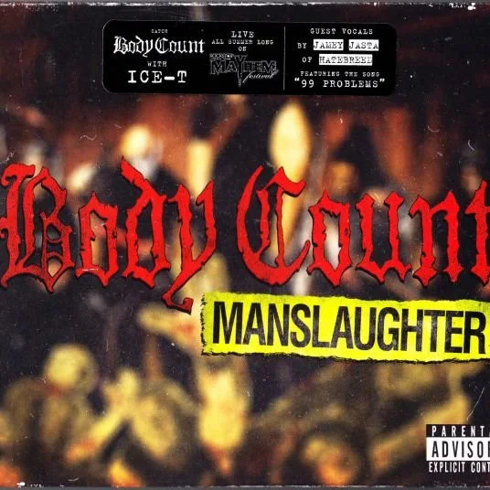 Cover of Manslaughter