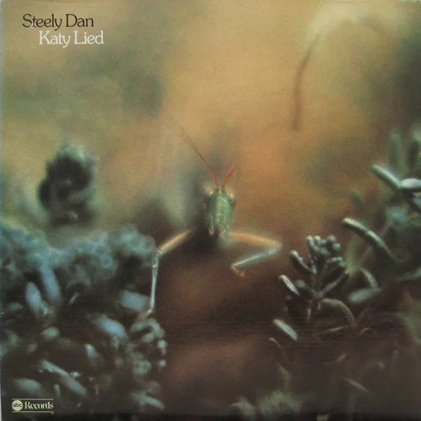 Cover of Katy Lied