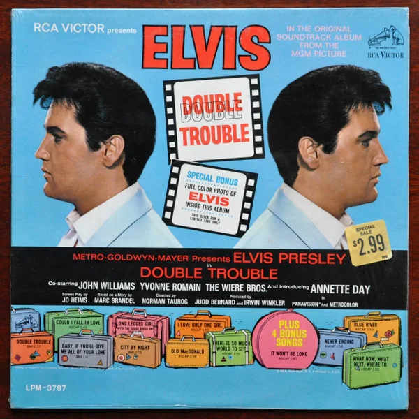 Cover of Double Trouble