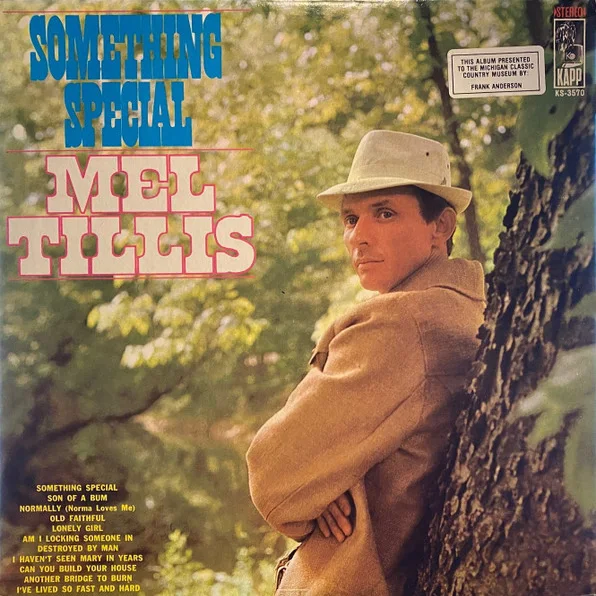 Cover of Something Special