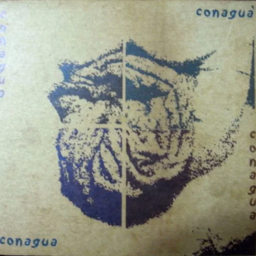 Cover of Conagua