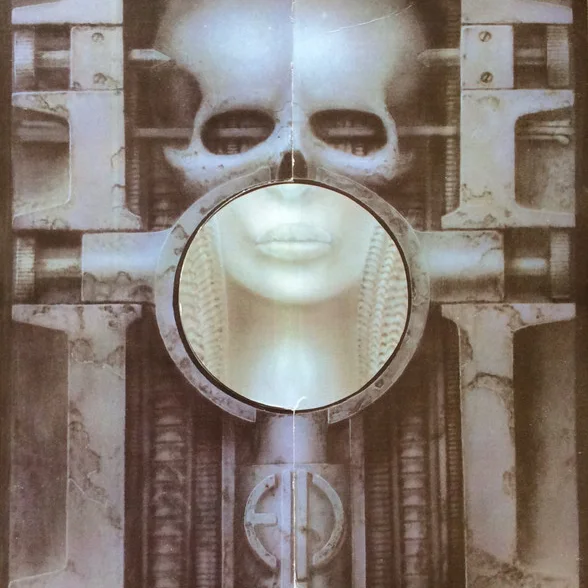 Cover of Brain Salad Surgery