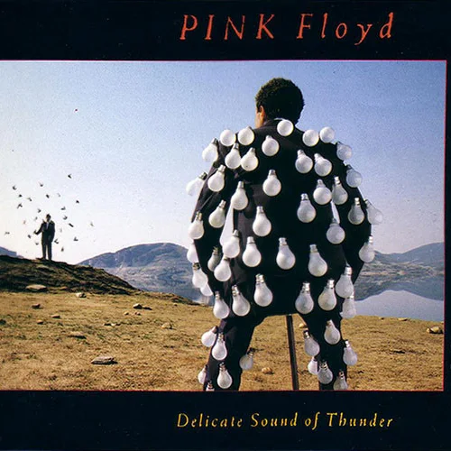 Cover of Delicate Sound Of Thunder