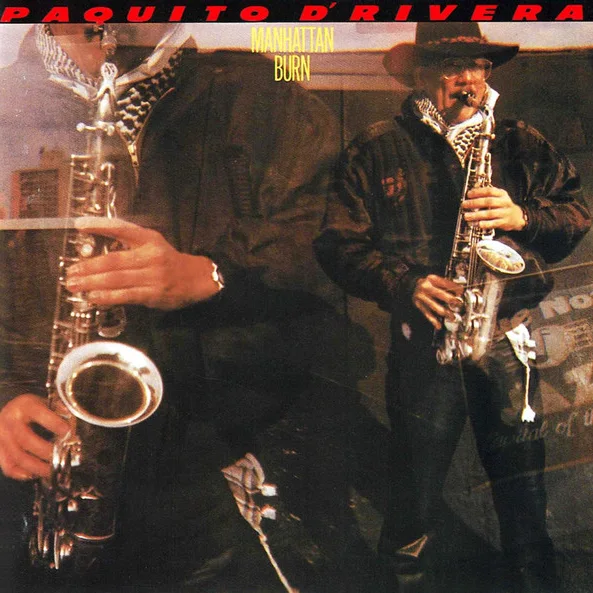 Cover of Manhattan Burn