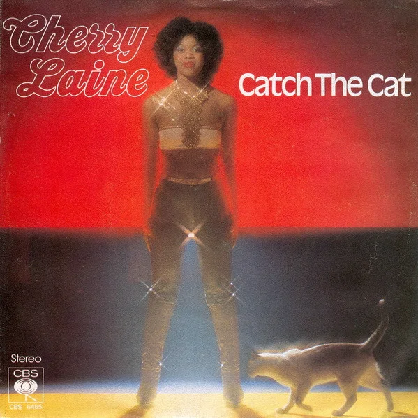 Cover of Catch The Cat