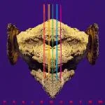 Cover of Pallaschtom