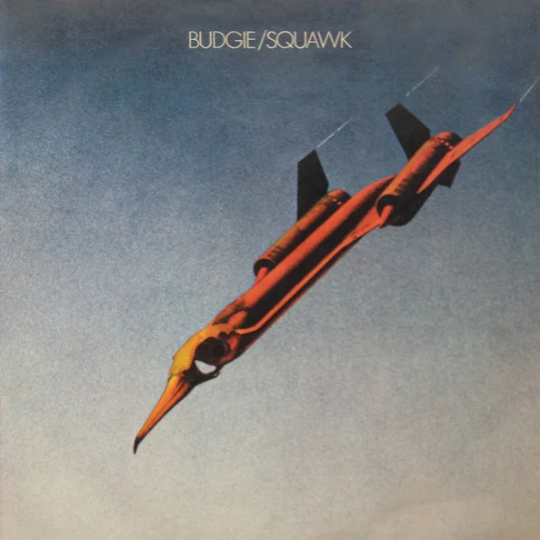 Cover of Squawk