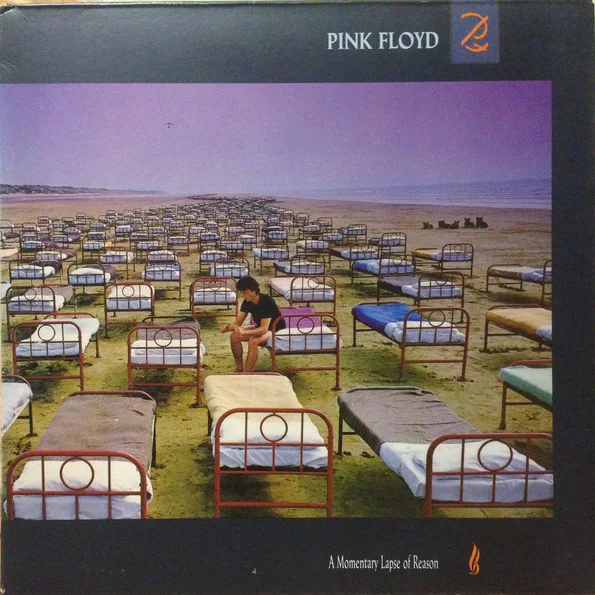 Cover of A Momentary Lapse Of Reason