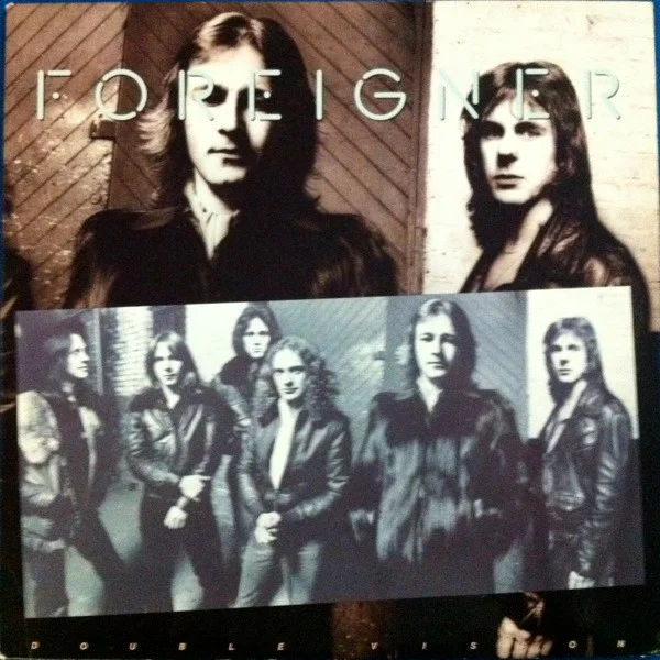 Cover of Double Vision