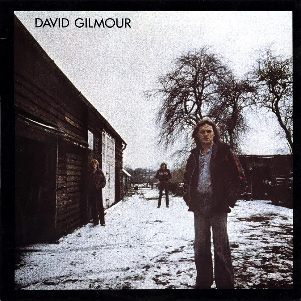 Cover of David Gilmour