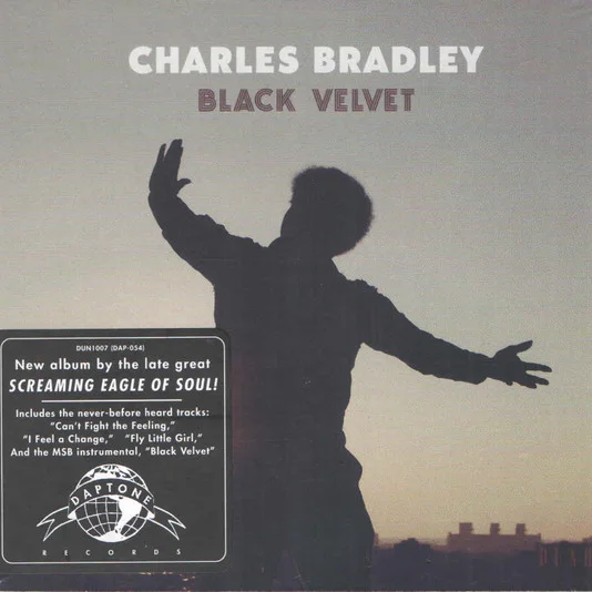 Cover of Black Velvet